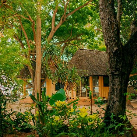 다르에스살람 Mikadi Beach Camp & Backpackers 호스텔 외부 사진